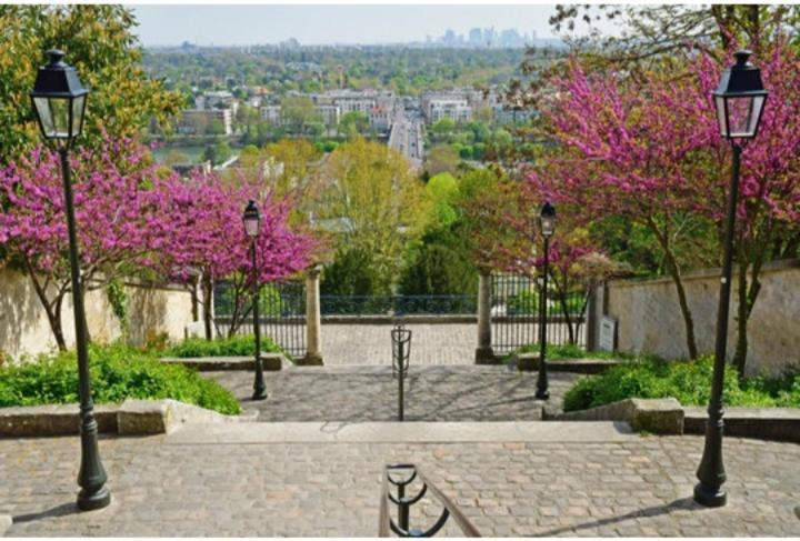 Saint-Germain-En-Laye: Grand Studio En Centre Ville A 2 Minutes Du Rer 외부 사진
